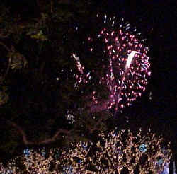 Fireworks.jpg (30683 bytes)