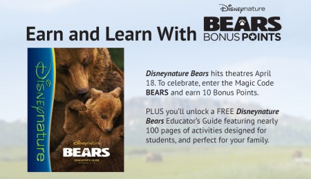 bearsdetails1397661334968