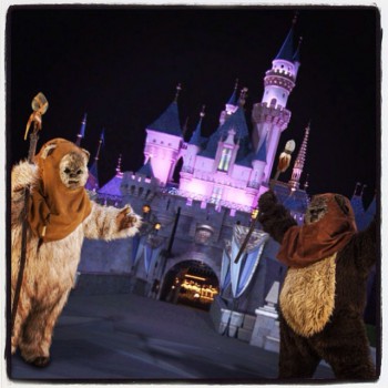 10424498_459800270832144_826865267_n