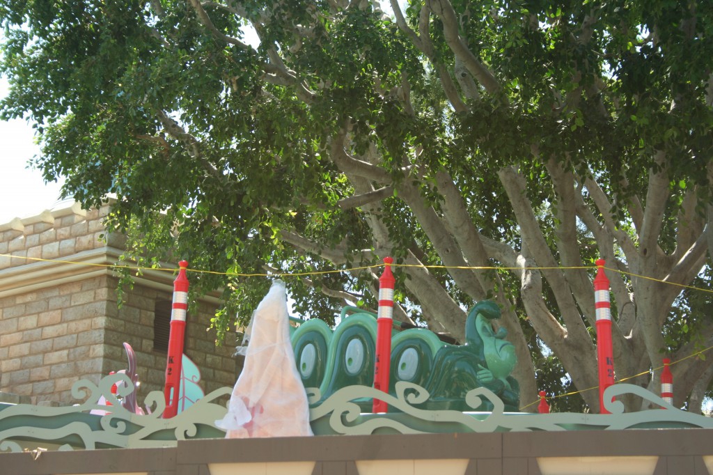 A lone caterpillar rests on the outdoor track