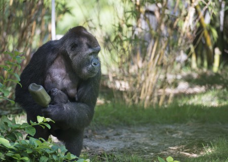 0923ZW_0318CC-1024x731