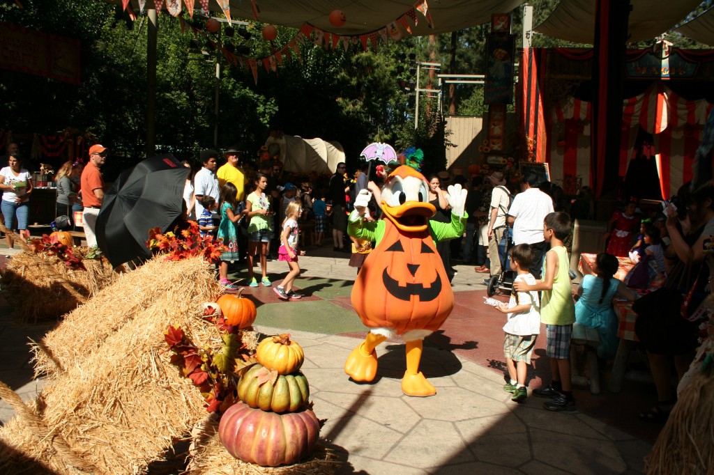 Donald joins in the fun