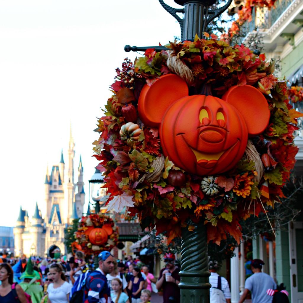 MNSSHP (6)