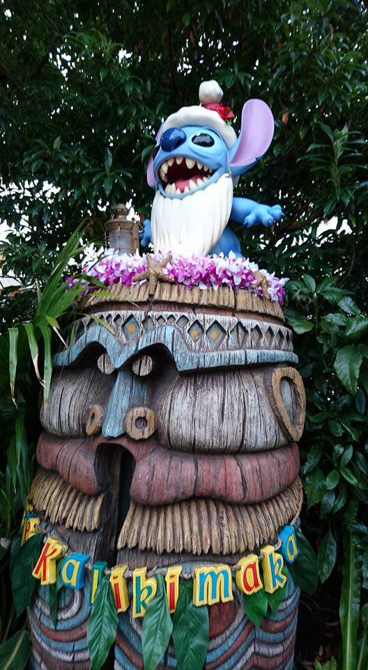 12240061_509551769222888_6868891149051004681_n