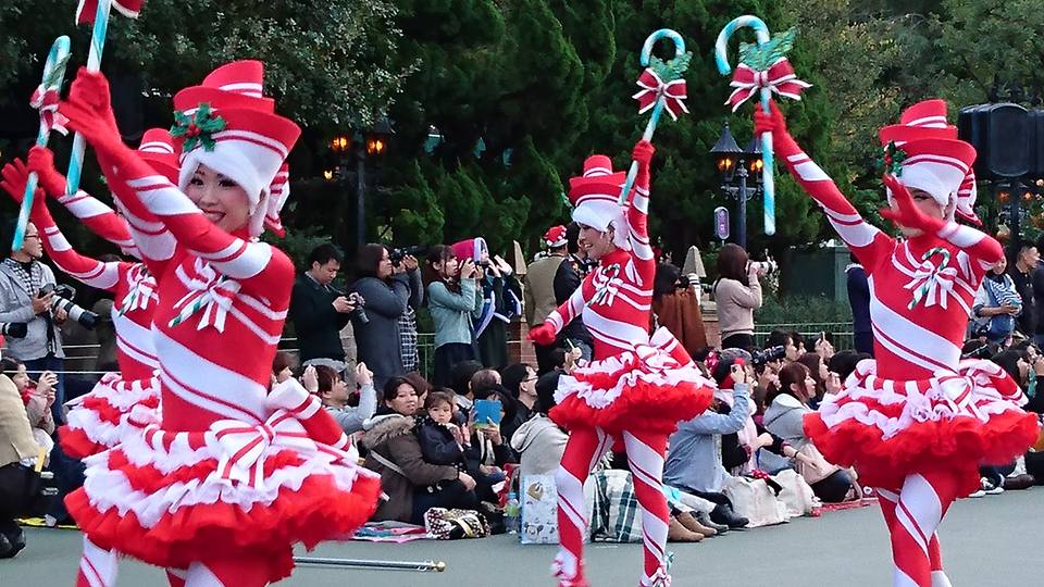 12274550_509559465888785_850373061530207283_n