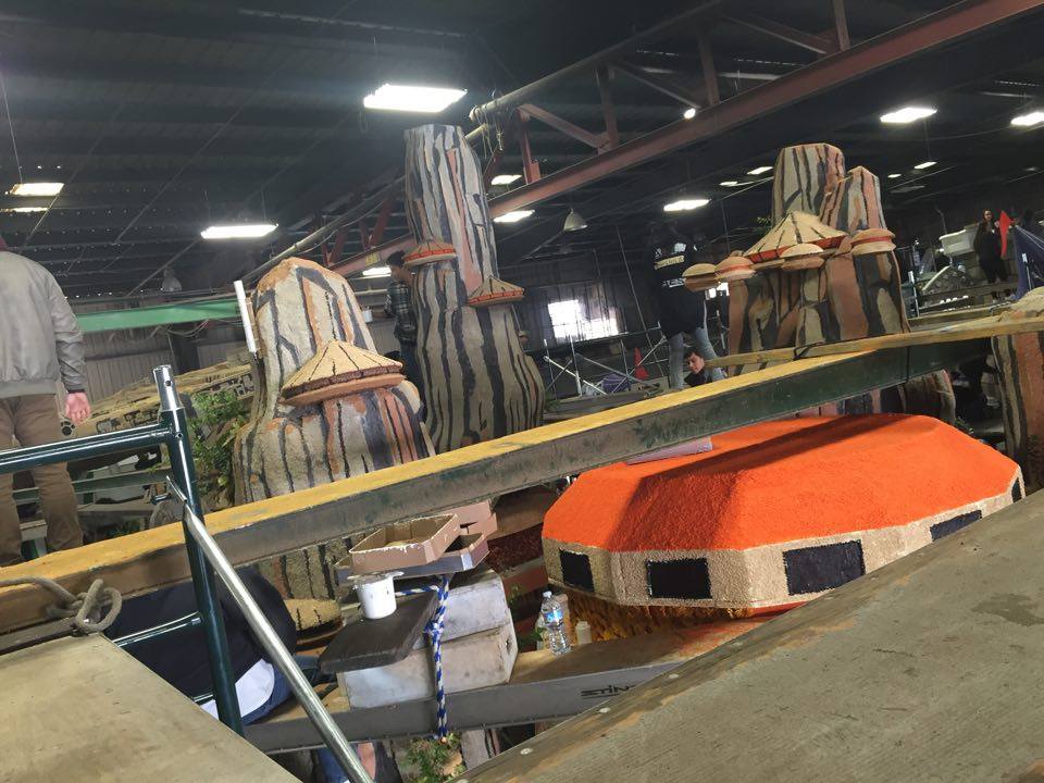 12459636_10208588241806280_1765896836_n