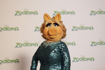 Zootopia Piggy