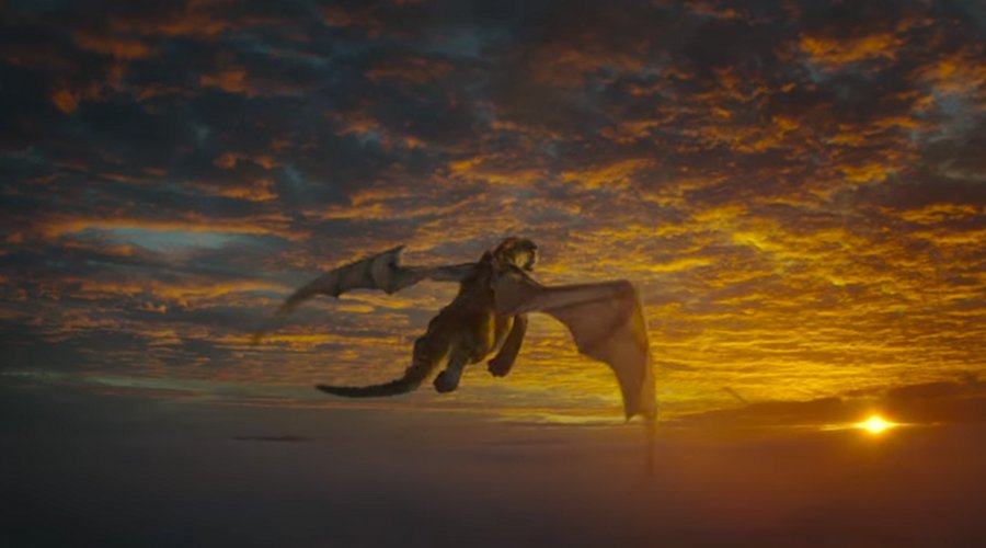 Elliot flies into the sunset