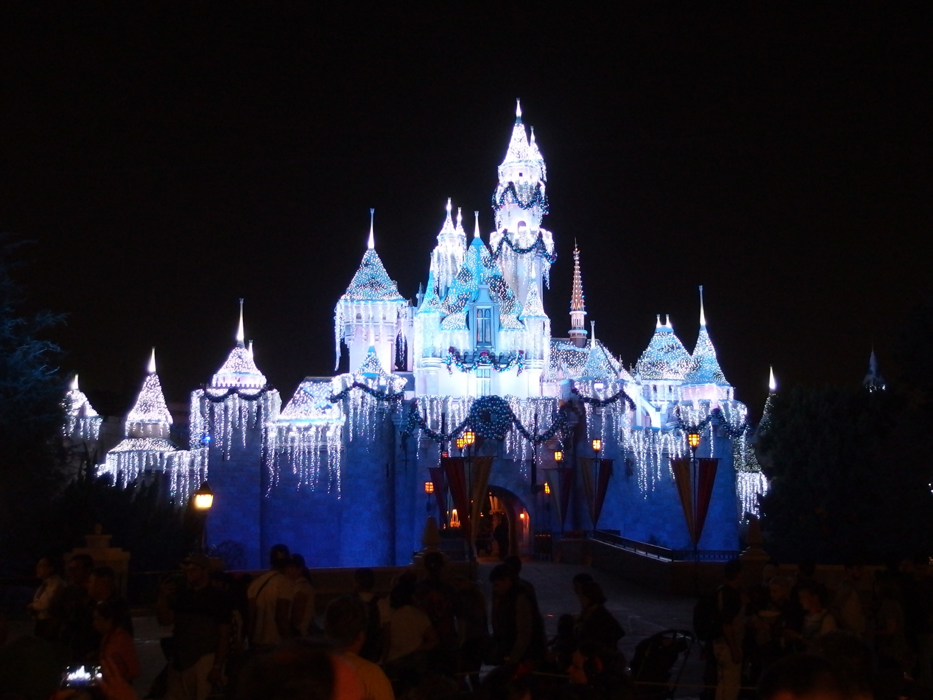 Sleeping Beauty’s Winter Castle