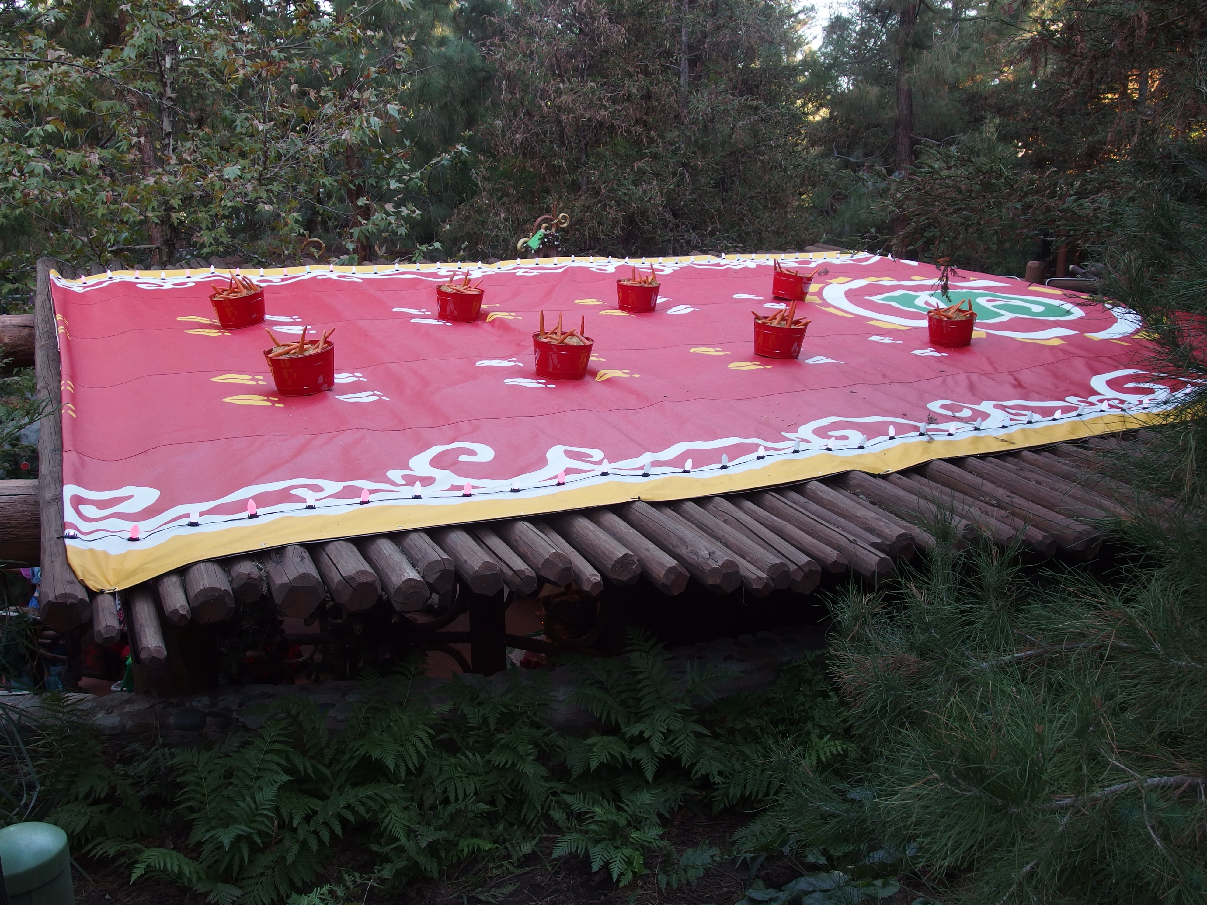 Looks like the roof is ready for Santa’s reindeer