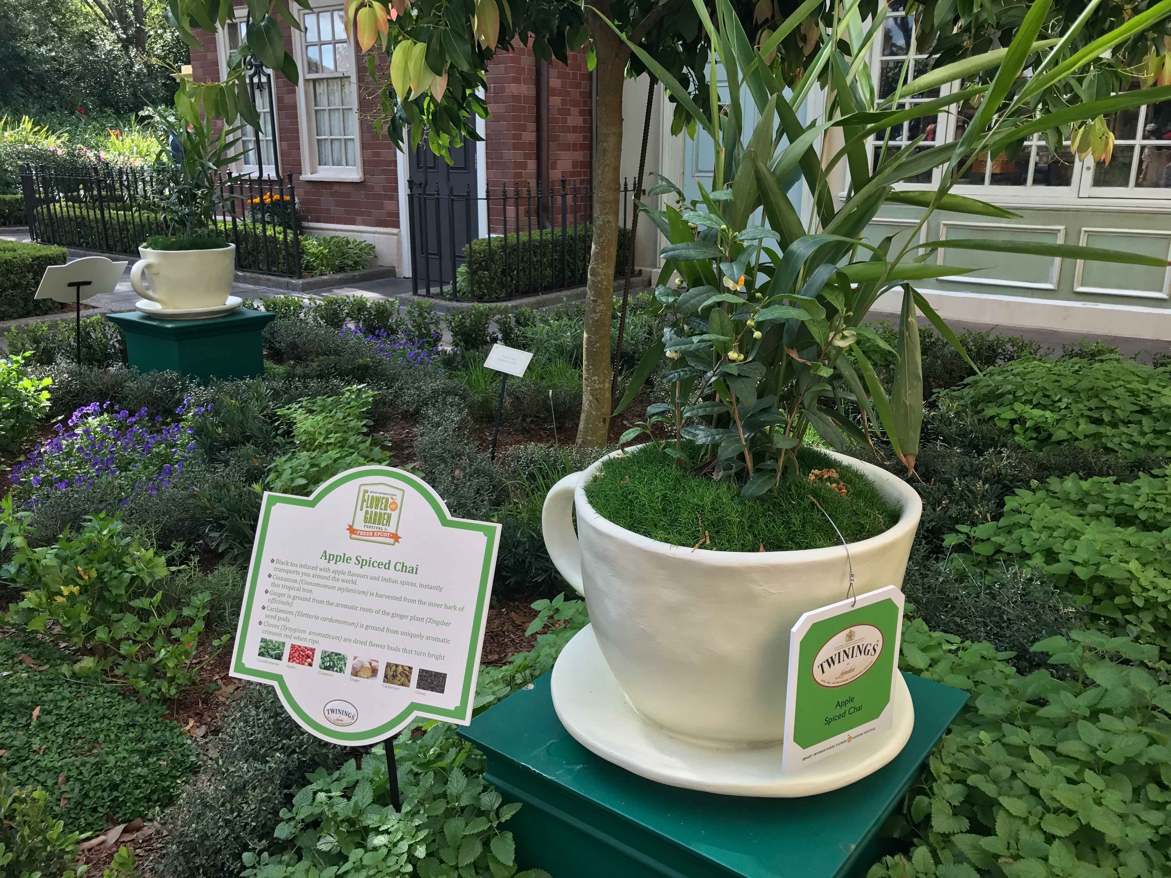 Learned all about all types of tea.