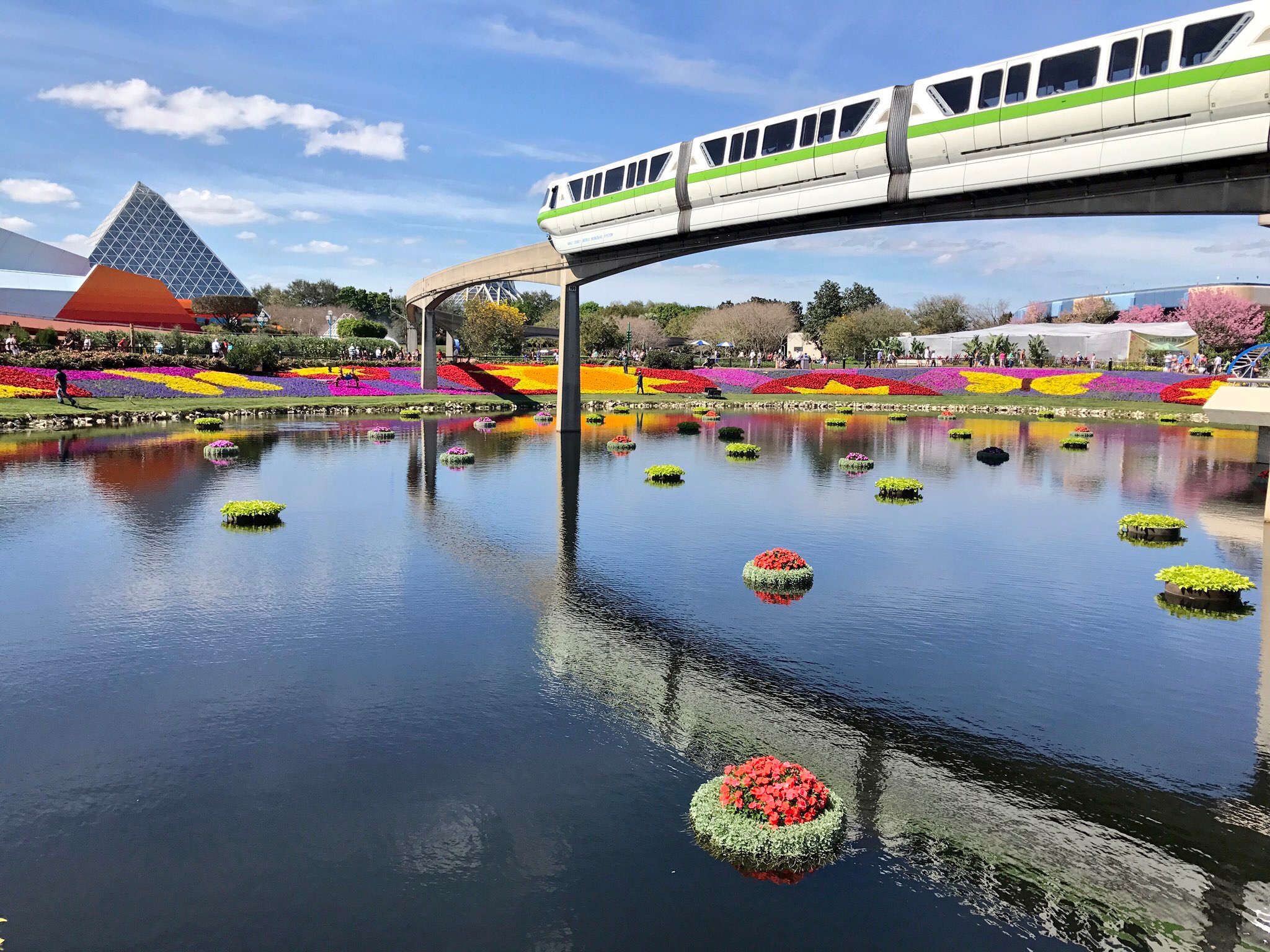 Flower & Garden PERFECTION