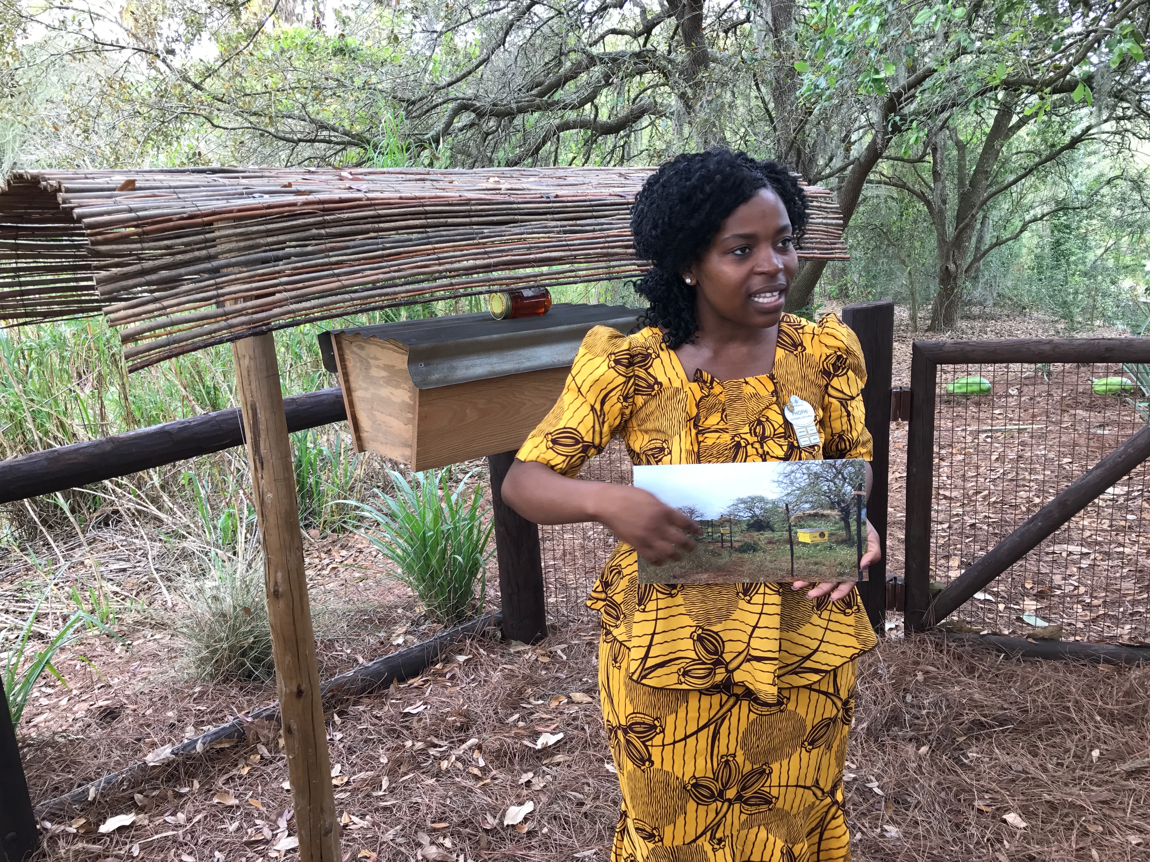 Phophi sharing with us how bees are used to keep elephants out of areas a more neutral way.