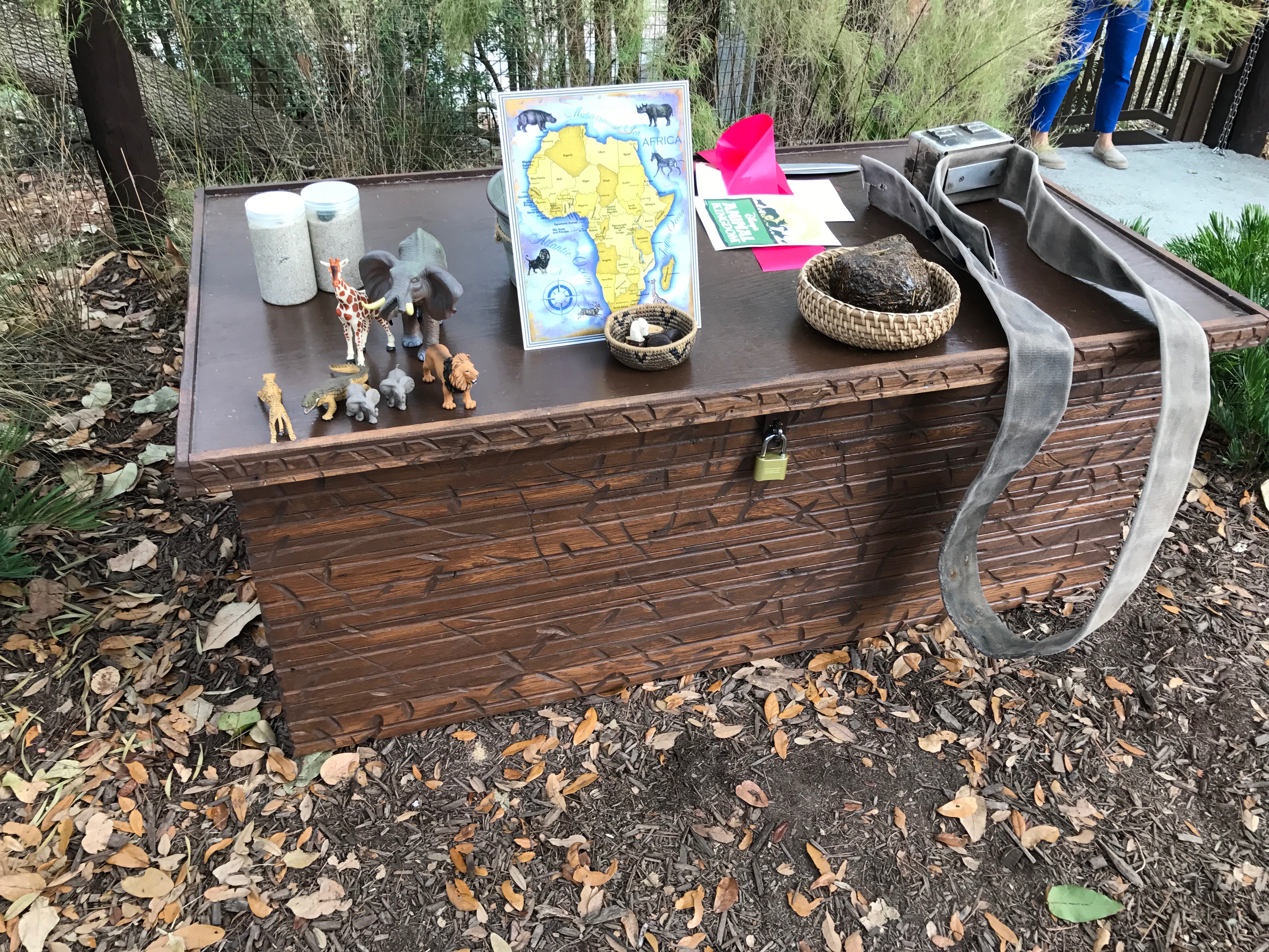 Tracking collar and elephant dung.