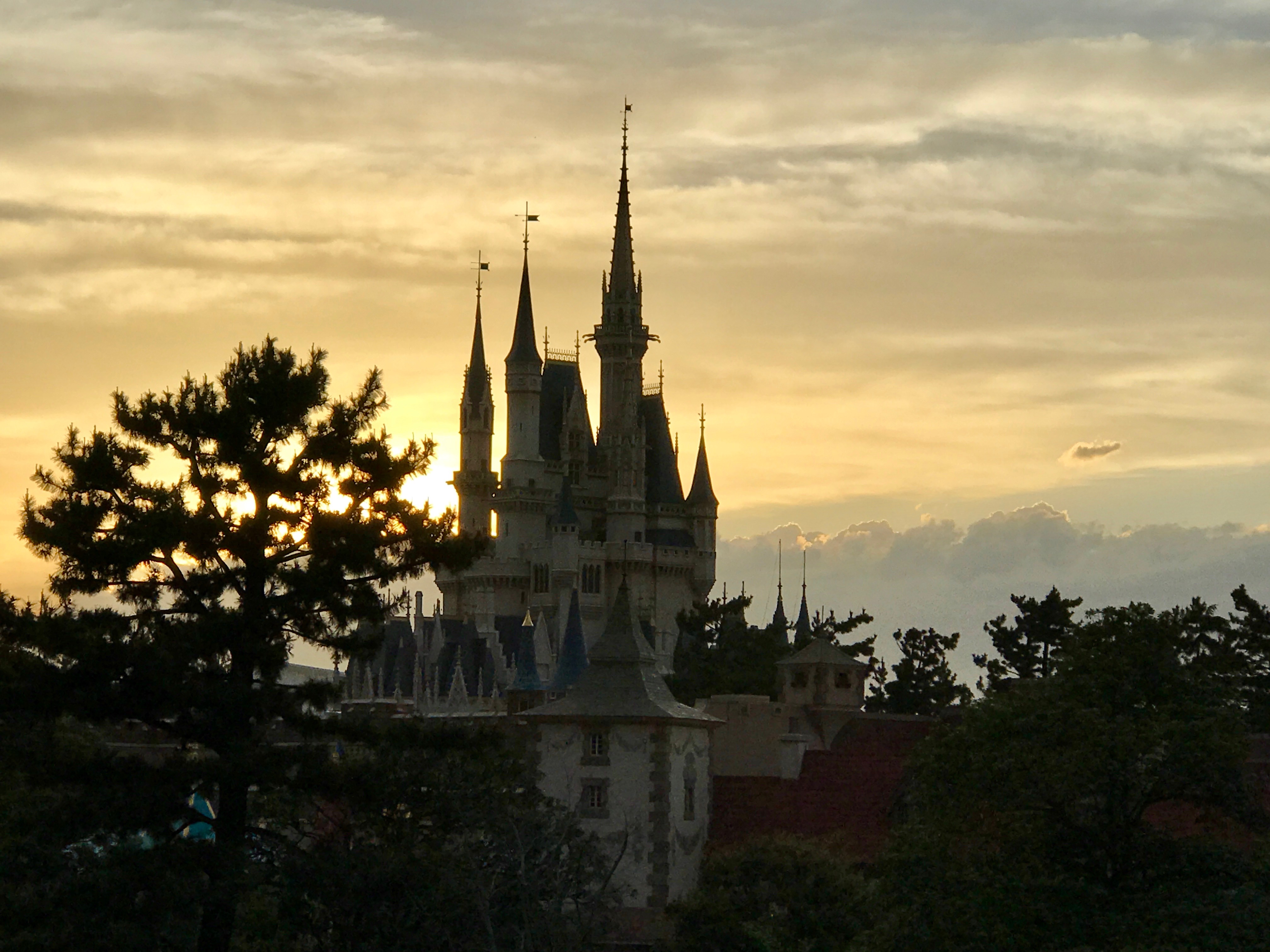 Tokyo Disneyland