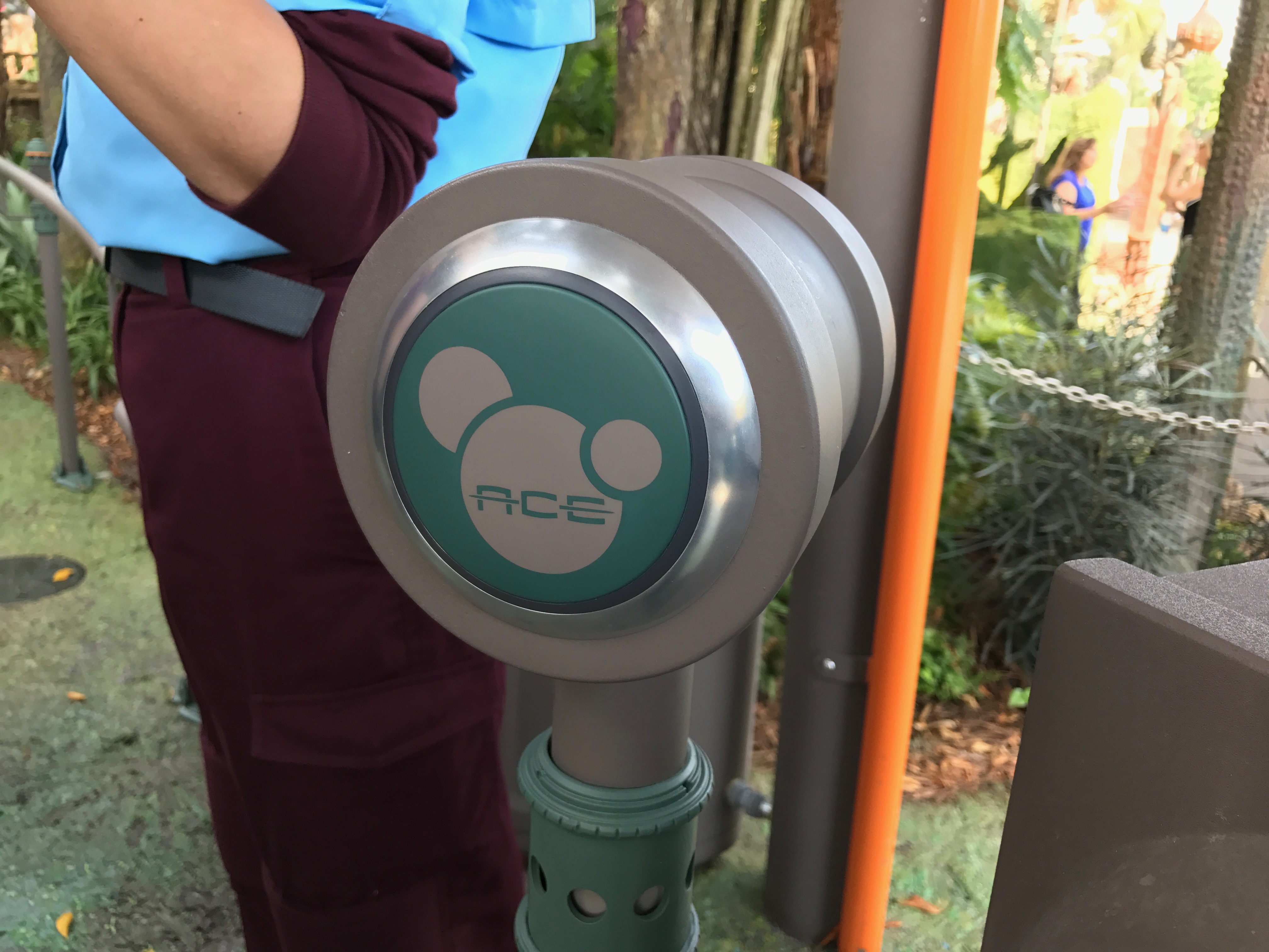 Avatar Flight of Passage ACE Fastpass+ Touch Point