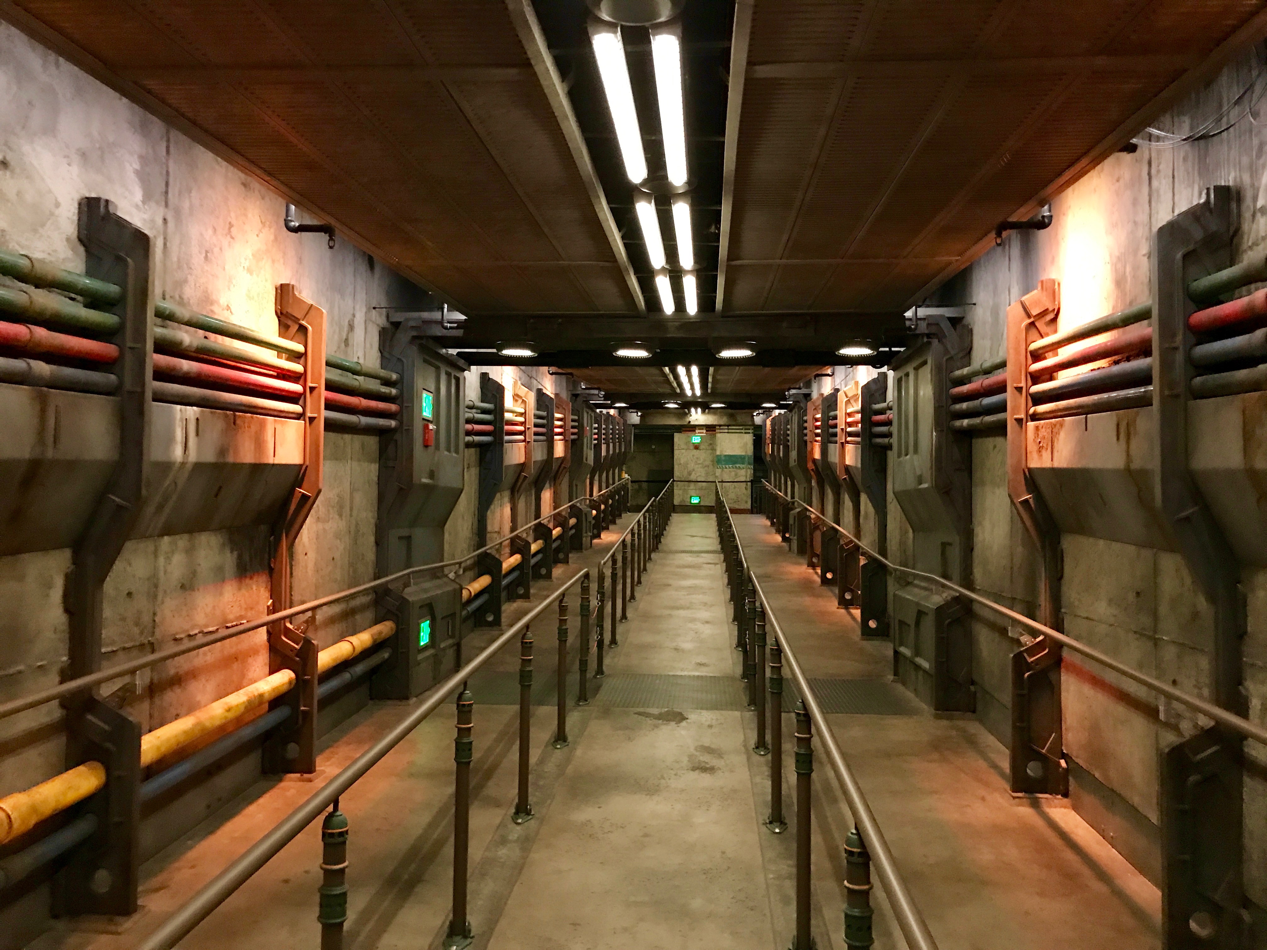 Avatar Flight of Passage Queue