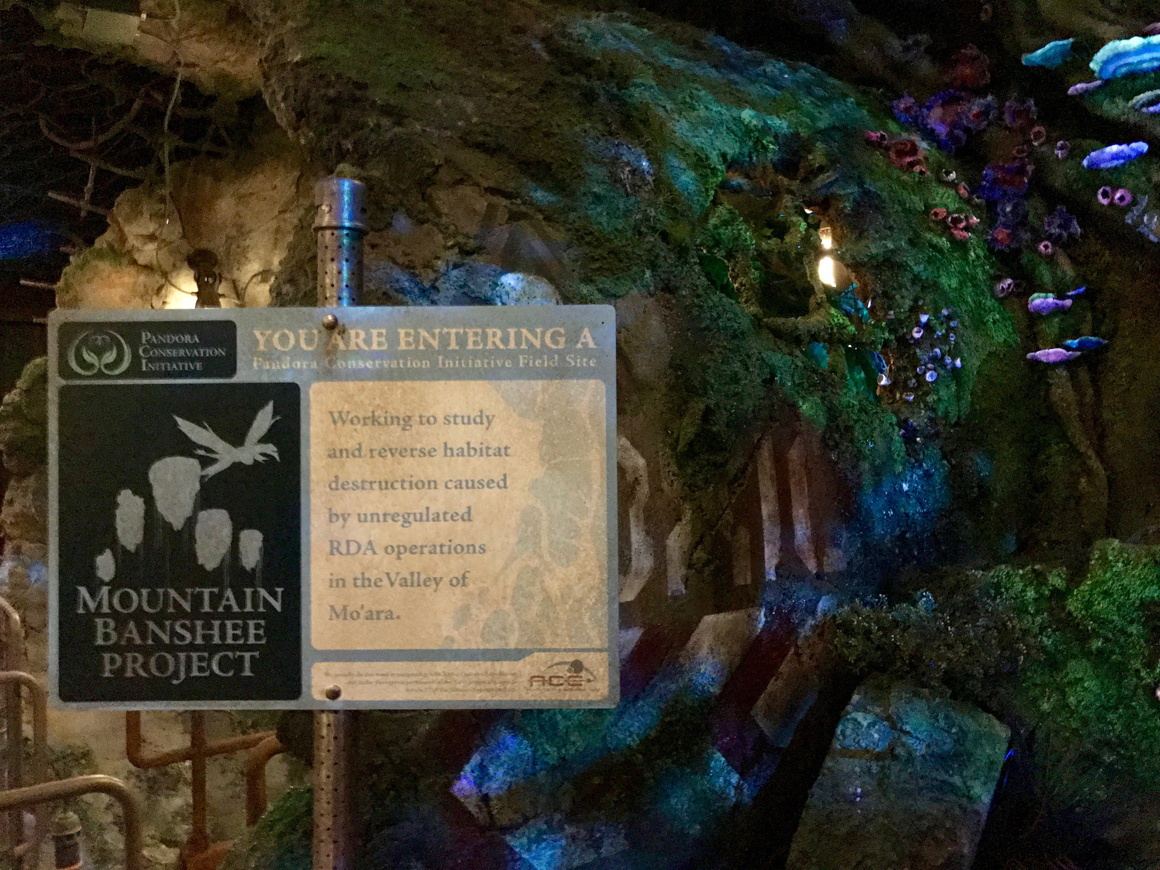 Avatar Flight of Passage Stand-By Queue