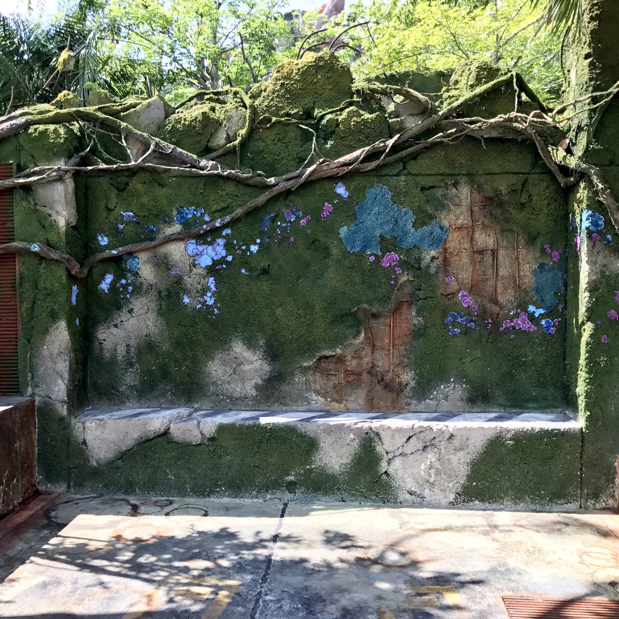 Pandora The World of Avatar #MossWall