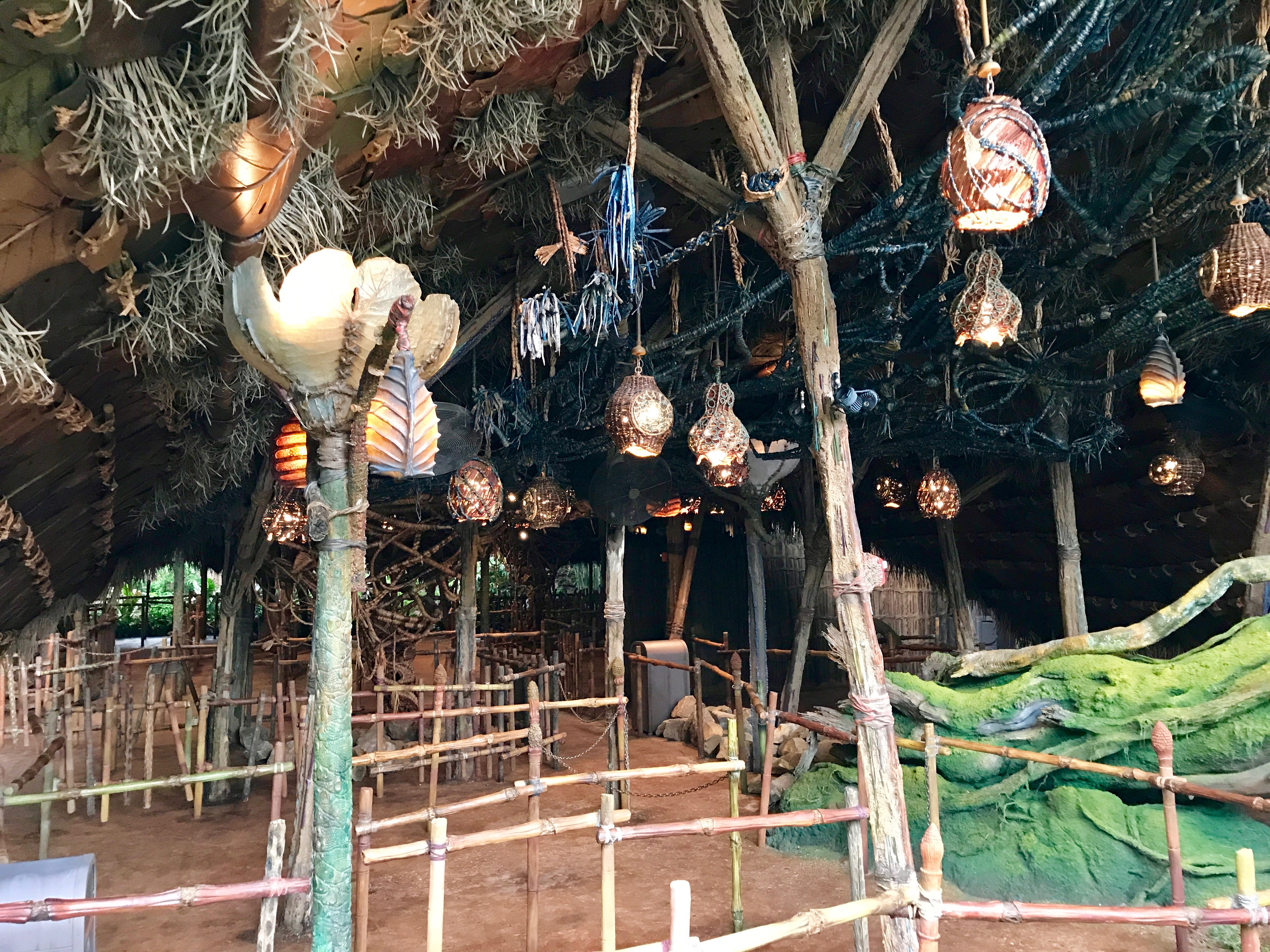 Na'vi River Journey Queue