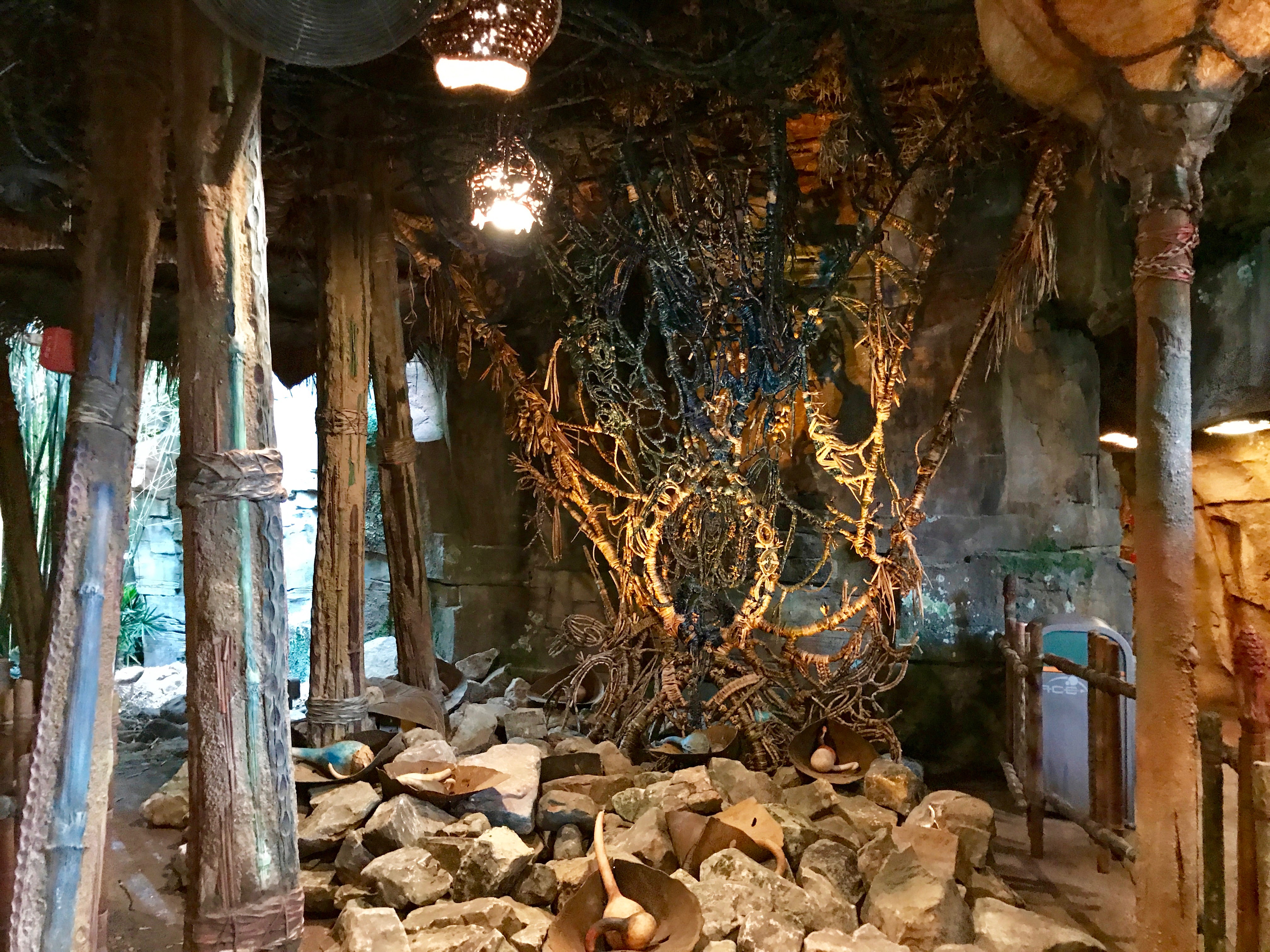 Queue of the Na'vi River Journey