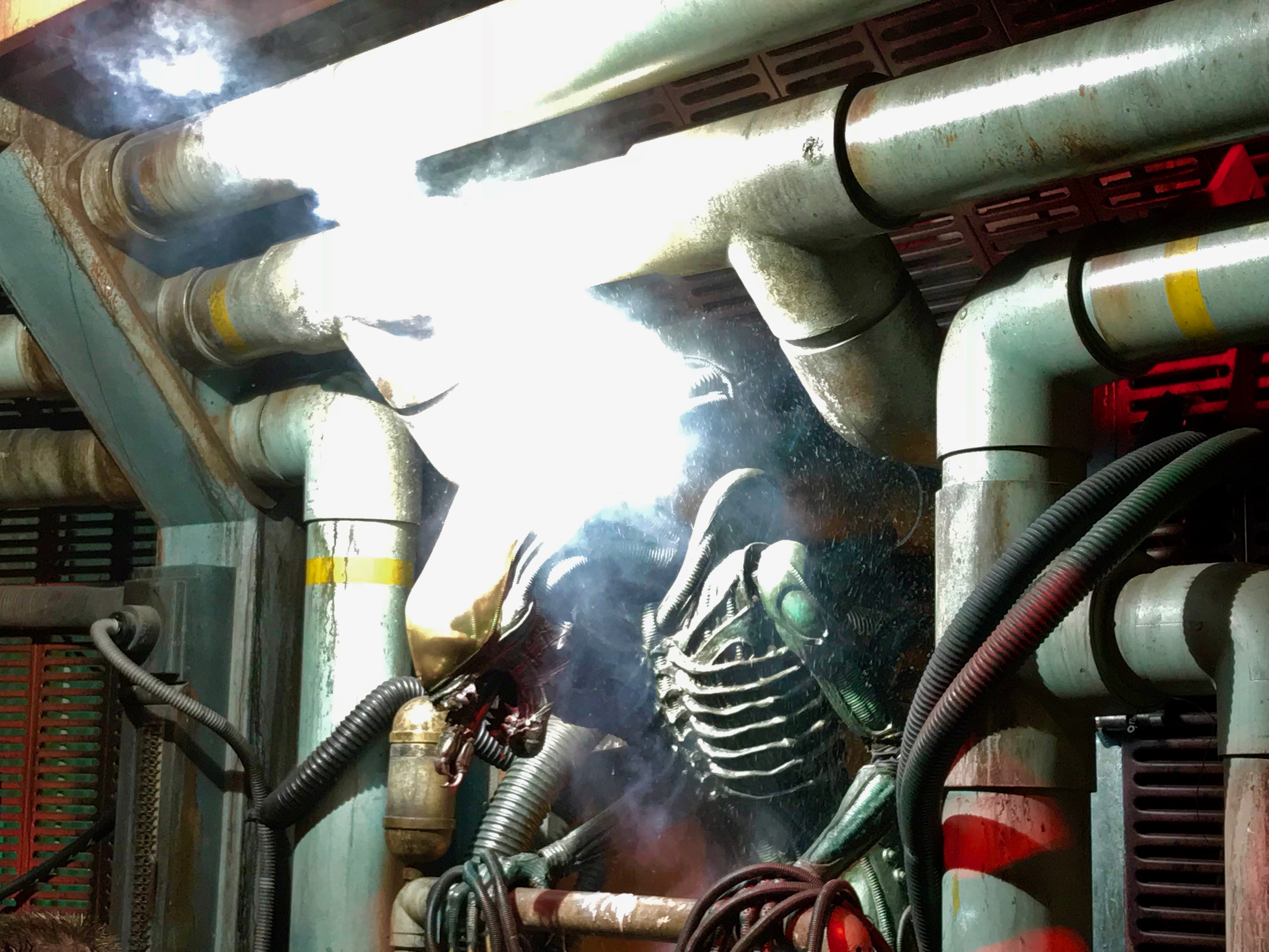 Disney's Hollywood Studios - The Great Movie Ride Disney Parks Blog Meet-Up