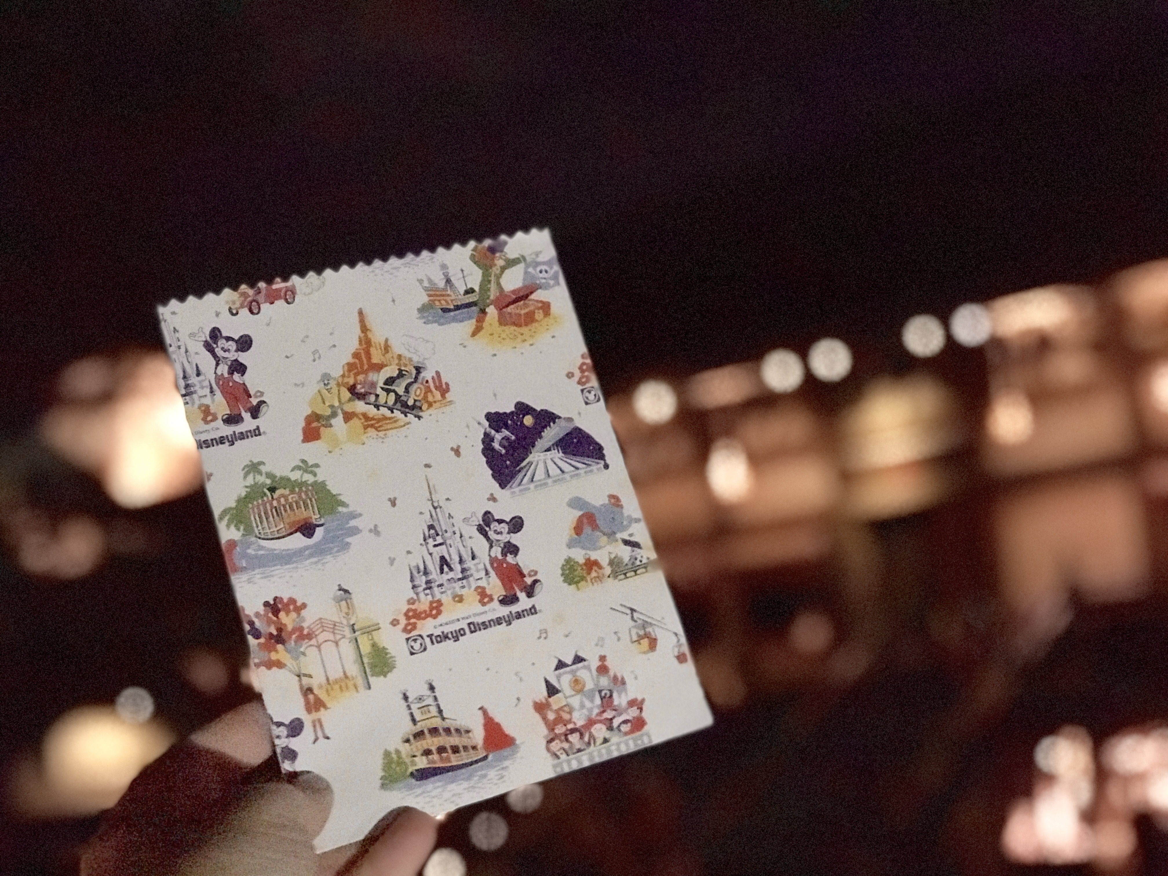 Tokyo Disneyland Souvenir Gift Bag (1983)