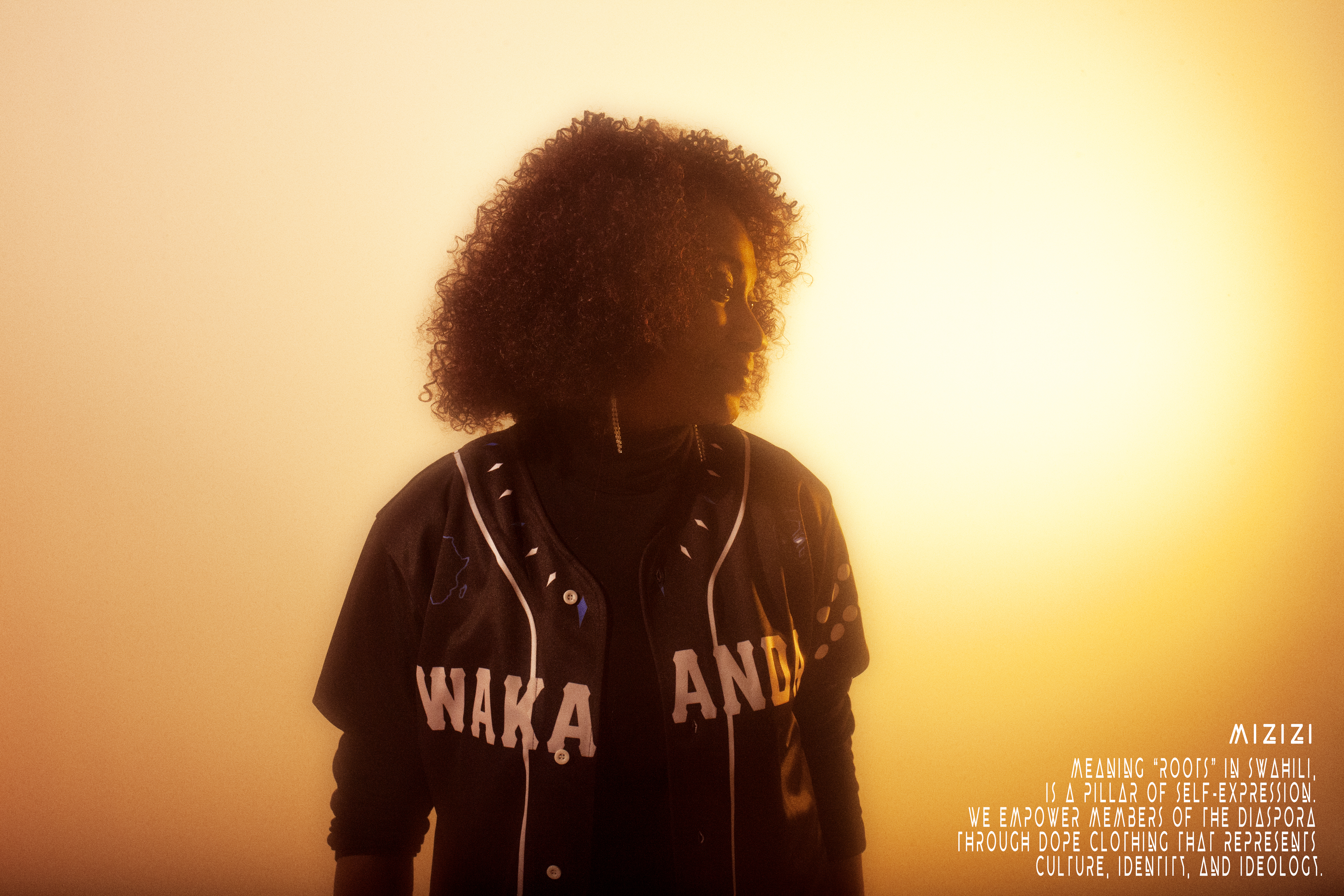 Black Panther Collections