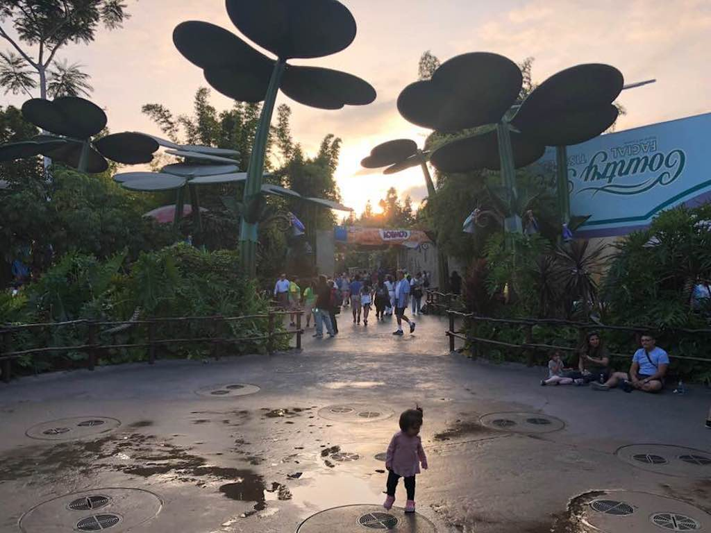 The final sunset over a bug’s land