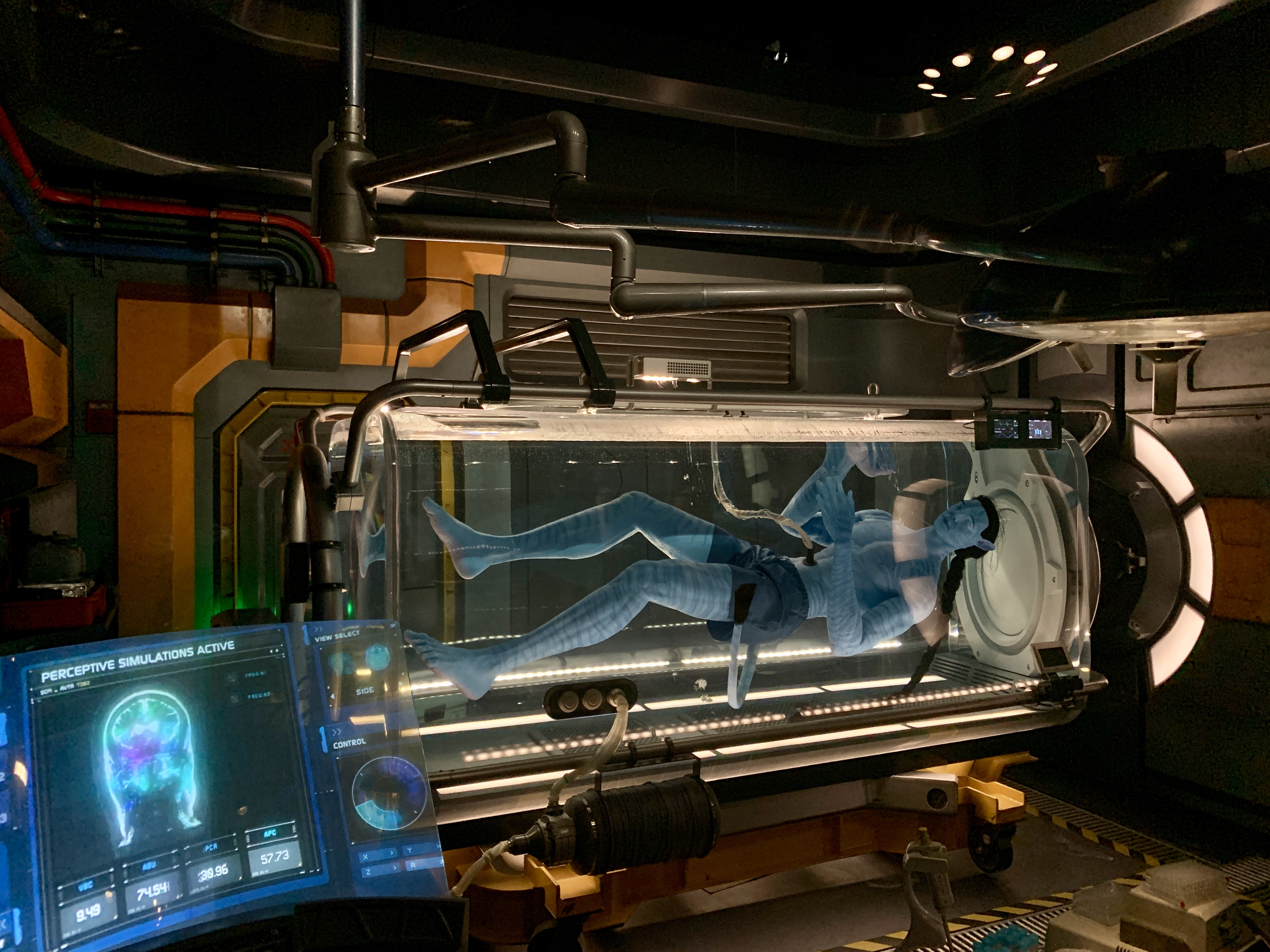 Disney's Animal Kingdom - Avatar Flight of Passage