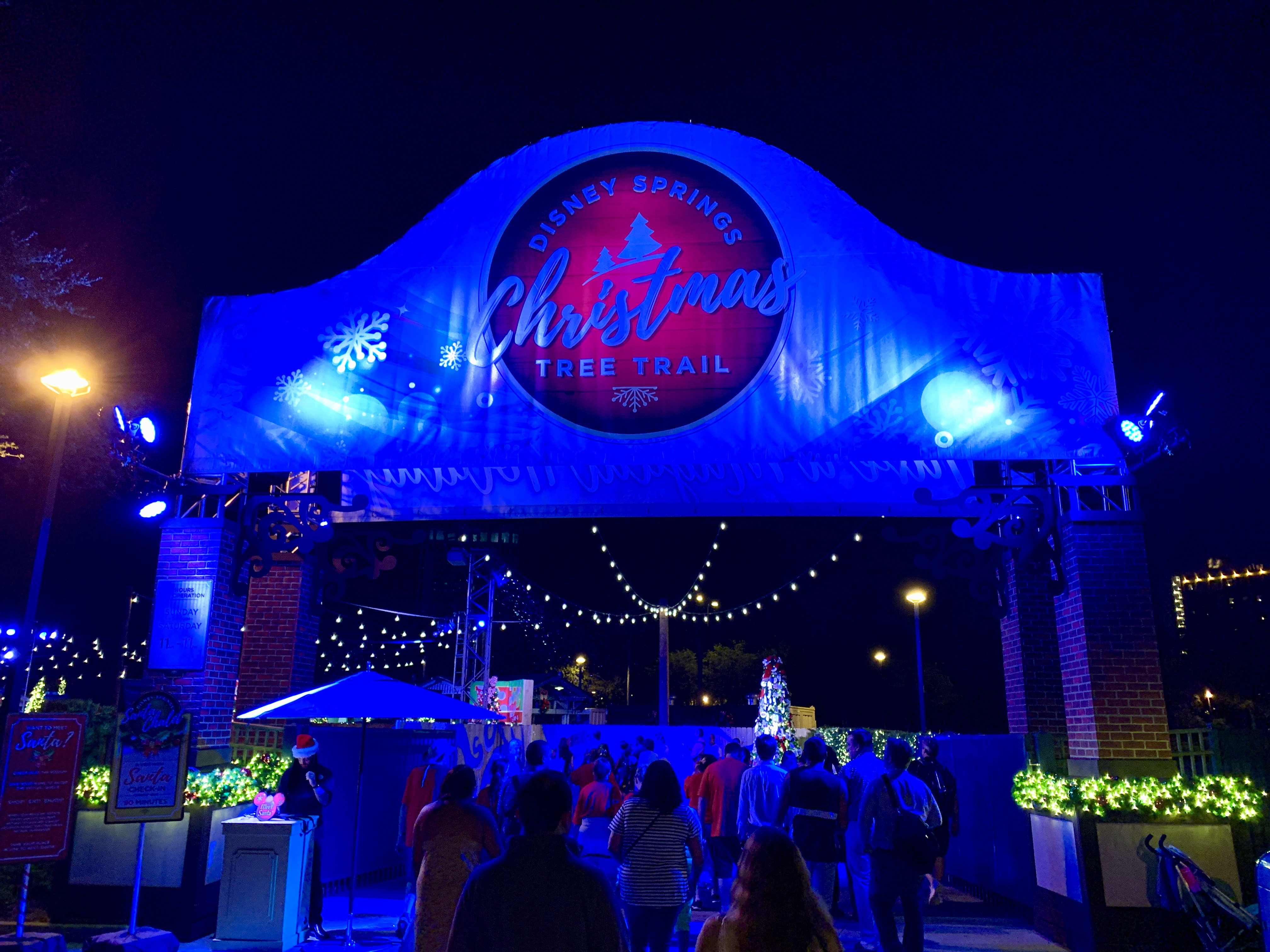 Disney Springs - Christmas Tree Trail