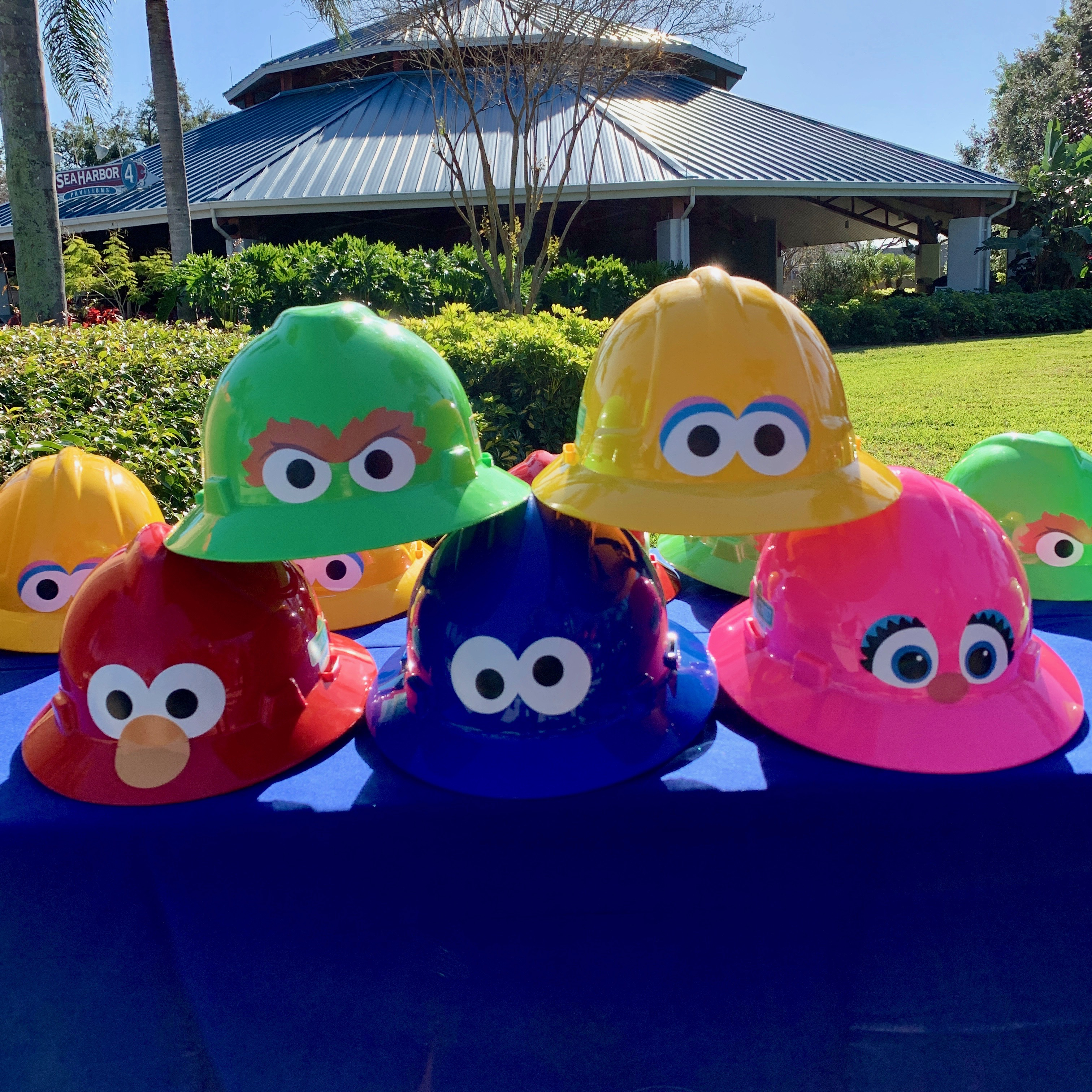 Sesame Street - Themed Hard Hats