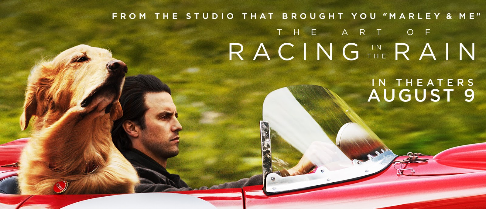 The Art of Racing in the Rain