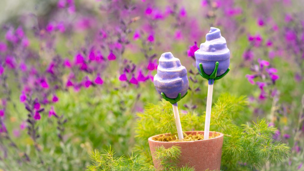 Mother’s Day Rose Cake Pop at Disneyland Resort