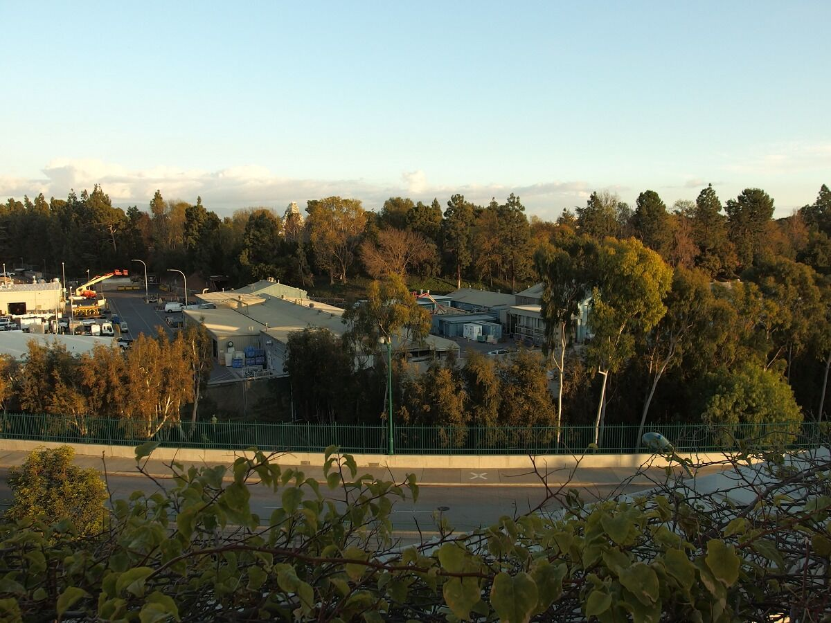 January 4, 2016. The calm before the storm.