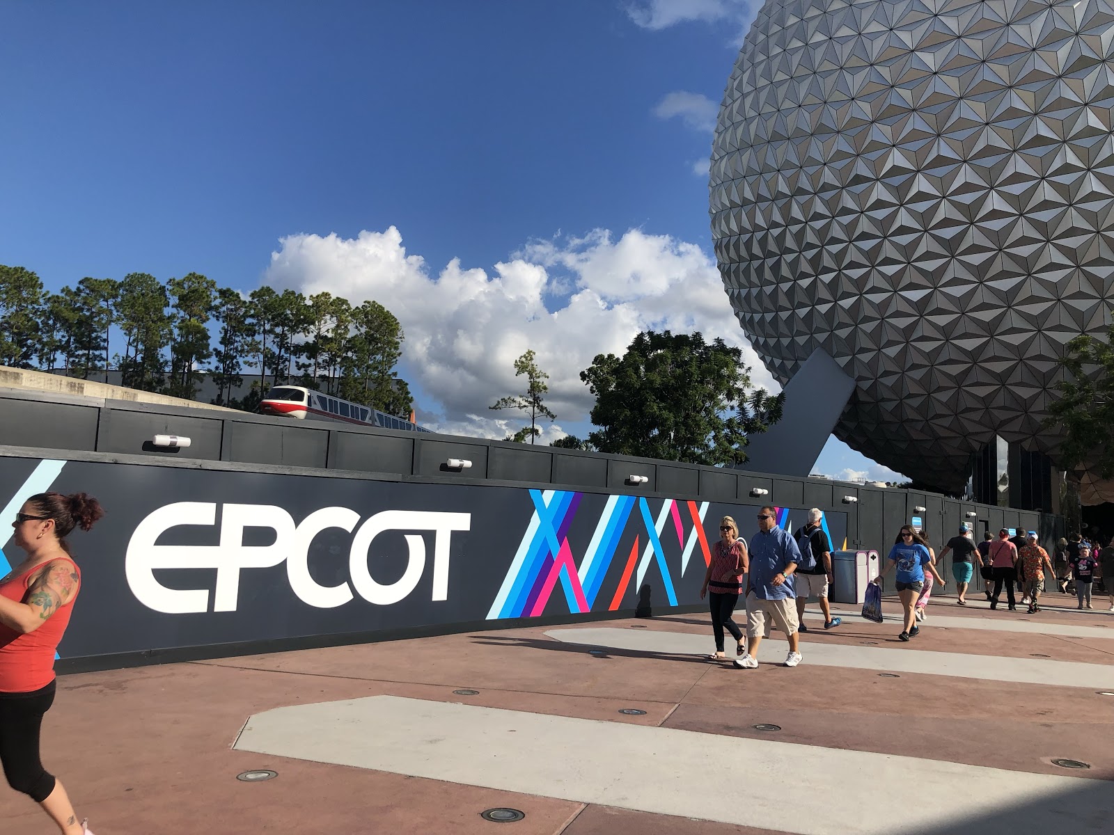 Photo by R. Mlinarcik (10.4.19)