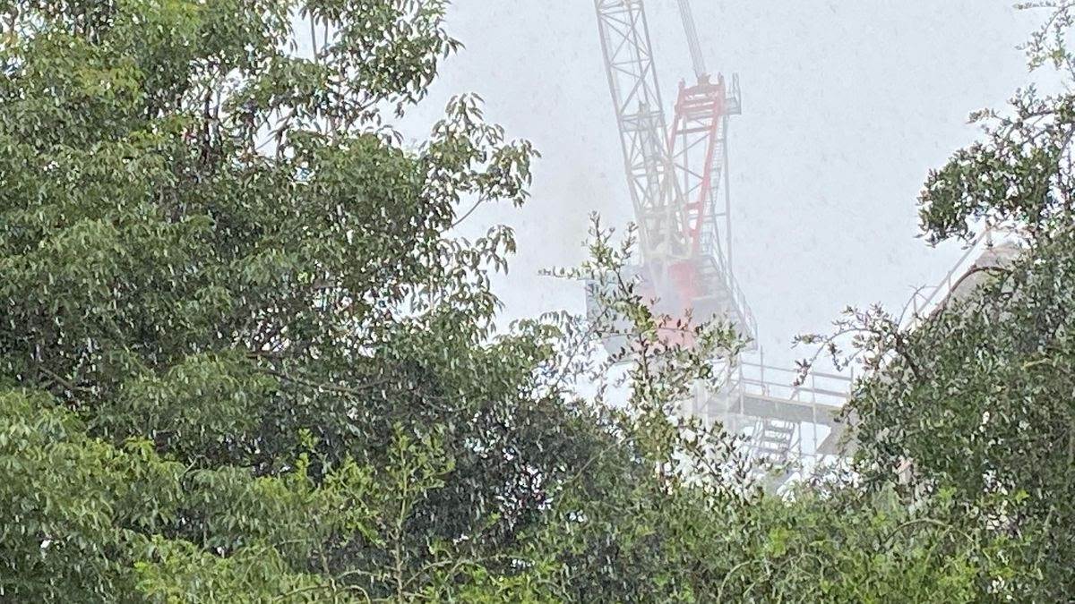 Photo via Austin Hart/WFTV