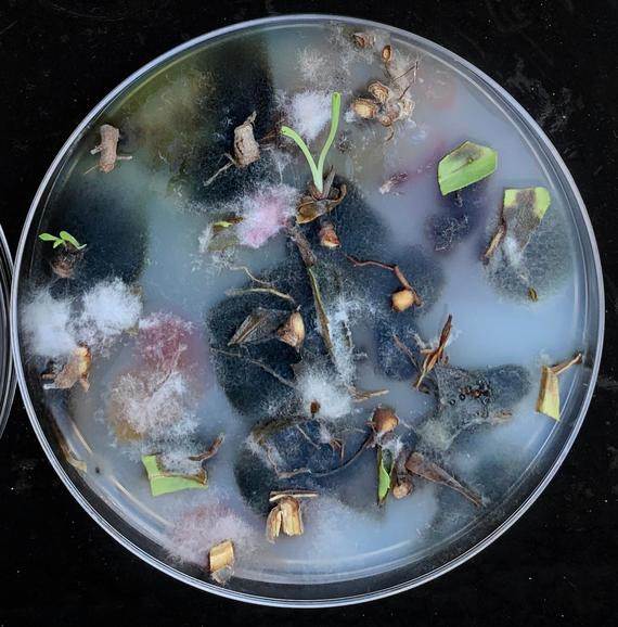 Photo Source: National Geographic