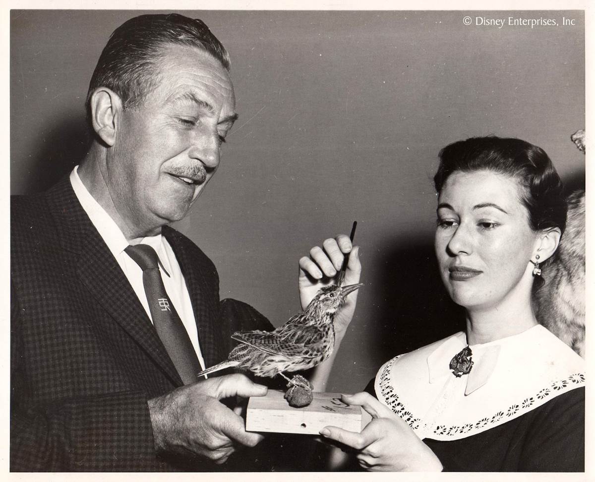 Photo Source: Imagineer Harriet Facebook Page