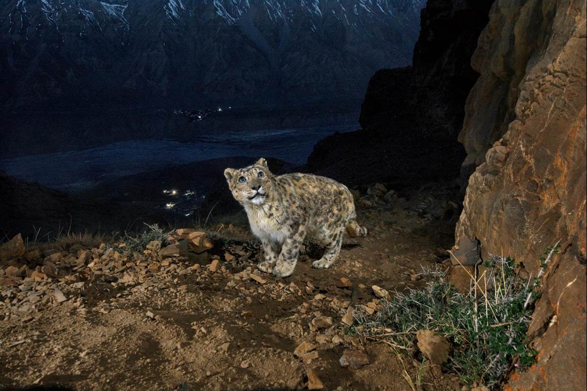 Photo Source: National Geographic