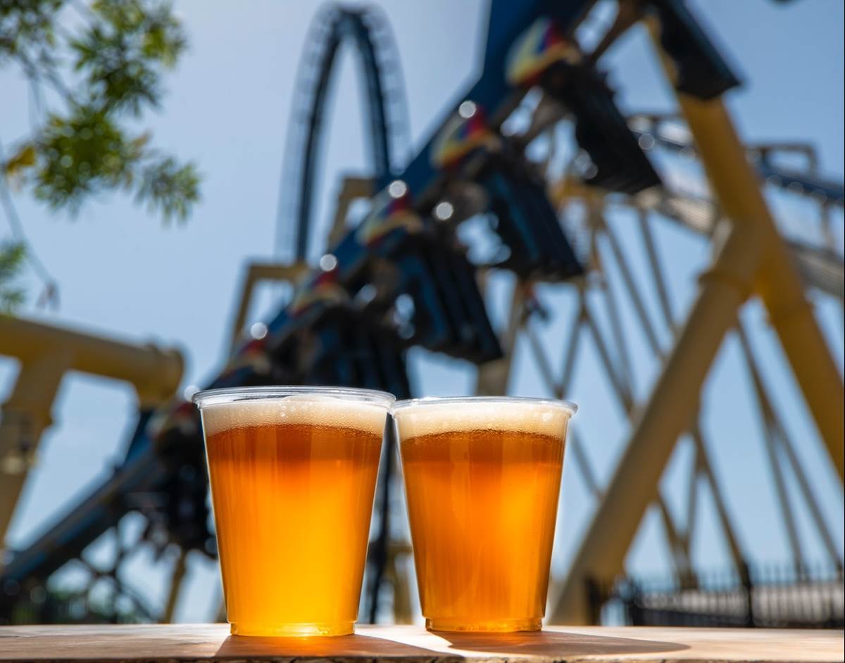 (Busch Gardens Tampa Bay)