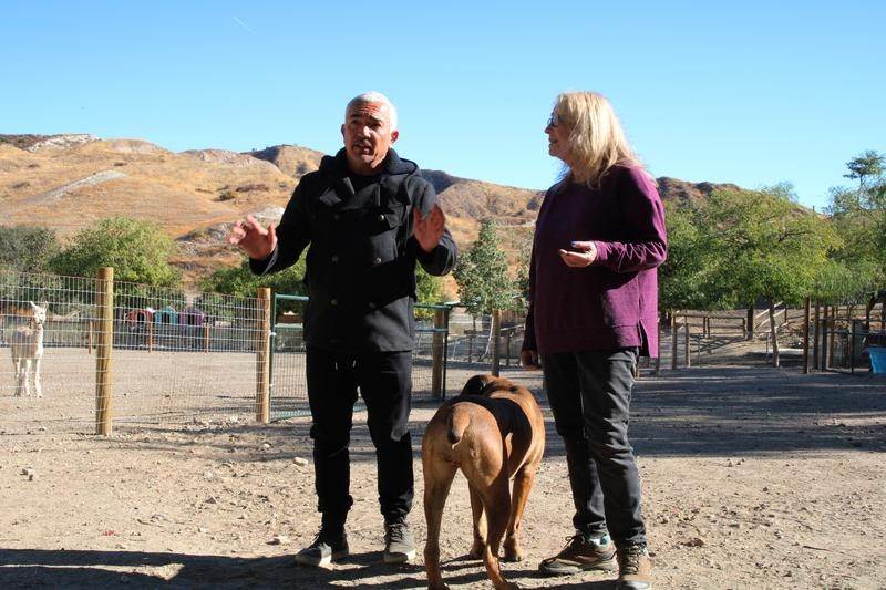 Cesar and Judy chat at the Dog Psychology Center. (National Geographic)