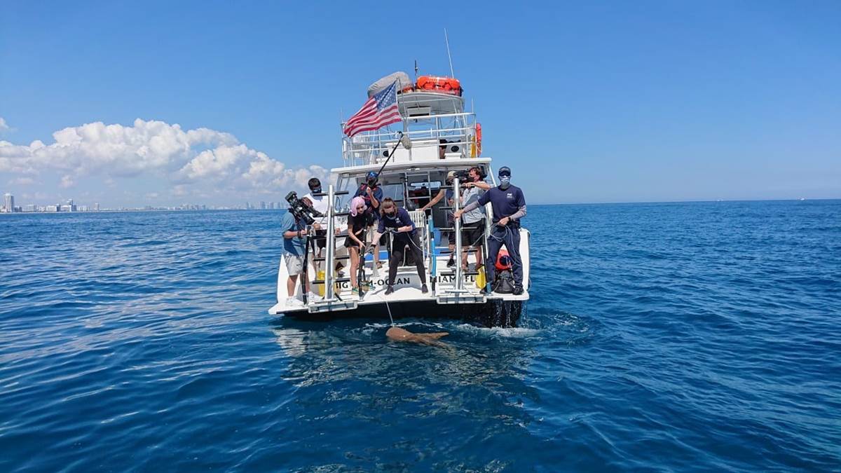 Paige Winter and researcher Laura Garcia Barcia hold onto the lines together as Laura tells Paige about the nurse shark. (National Geographic/Gabriel Kerr)