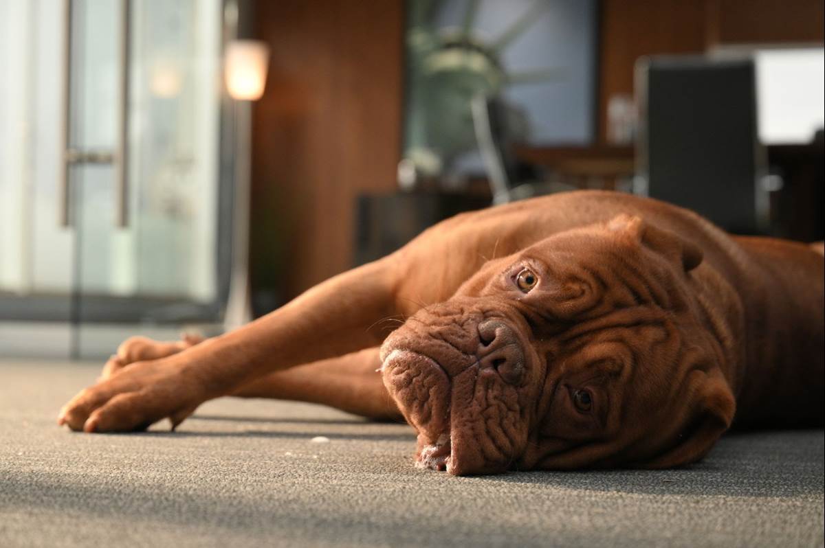 (Disney/Eric Milner)