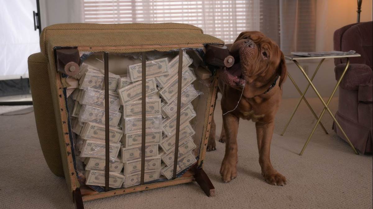 (Disney/Eric Milner)