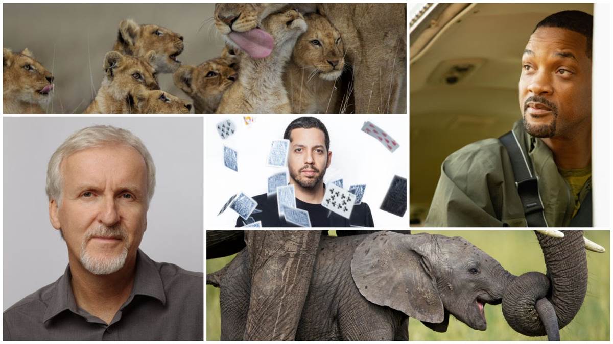 Lion (National Geographic/Michael Nichols), Pole to Pole (National Geographic for Disney+/Kyle Christy), Secrets of the Elephants (Michael Nichols/National Geographic Creative), James Cameron (Robert Ascroft), Beyond Belief with David Blaine (Andreas Poupoutsis)