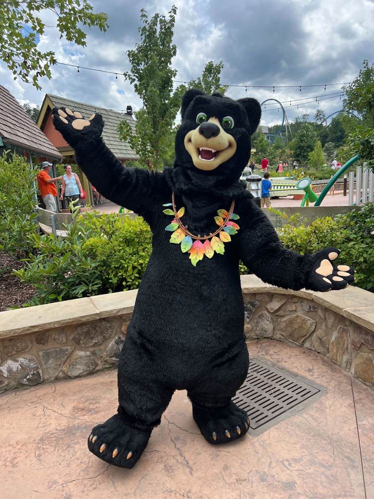 Not "Big Bear" - But Dolly's Friend, Benjamin the Bear