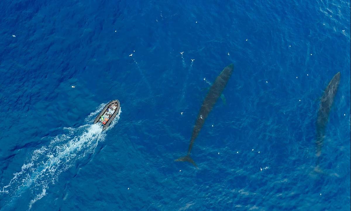 (National Geographic/Bertie Gregory for Disney+)