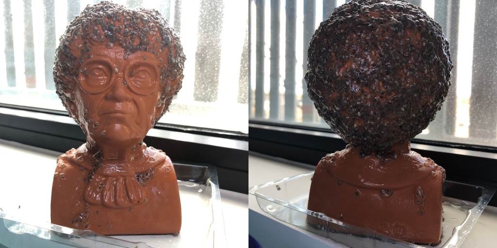 Two days in, just waiting for the sprouting to start!