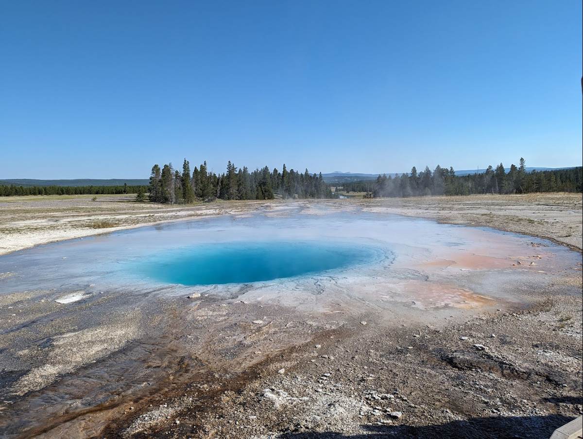 Beautiful but Dangerous